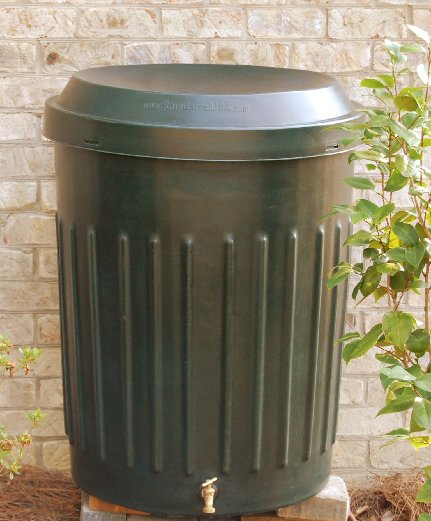 RainBarrelUSA Weather Resistant Plastic Drainable Dual Overflow Rain