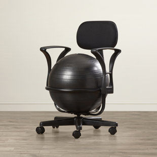 Go to store & view more images Symple Stuff Exercise Ball Chair
