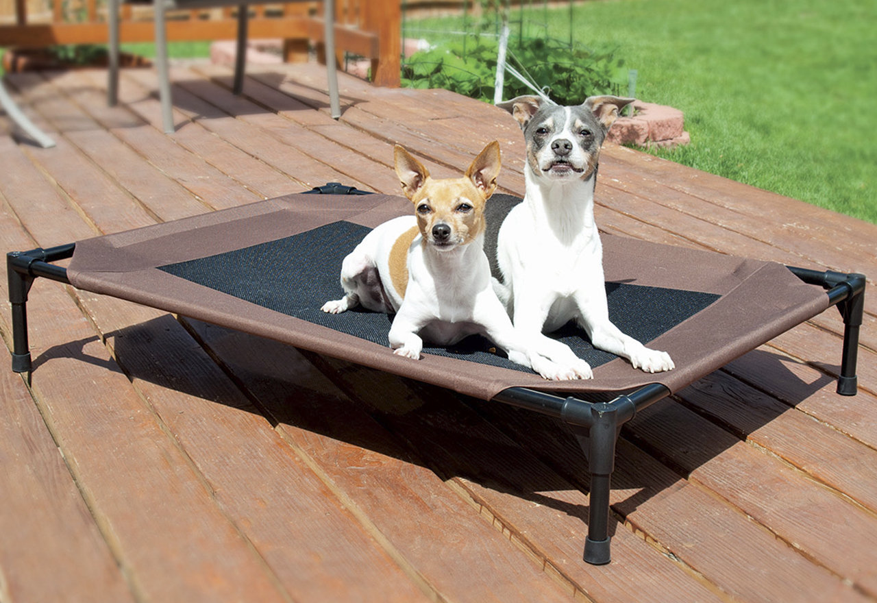 [BIG SALE] Durable Dog Beds for Every Breed You’ll Love In 2021 Wayfair