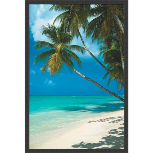 Framed Palm Tree Pictures Wayfair