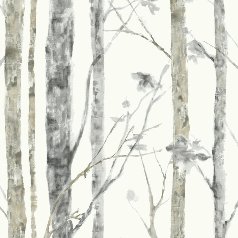 Winston Porter Ballywillin Birch Tree Peel And Stick 16 5 X 20 5