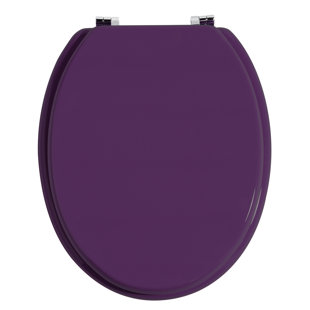 Novelty Toilet Seat | Wayfair.co.uk Novelty Toilet Seat | Wayfair.co.uk
