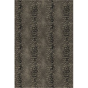 Luxury 8 X 10 Area Rugs Perigold