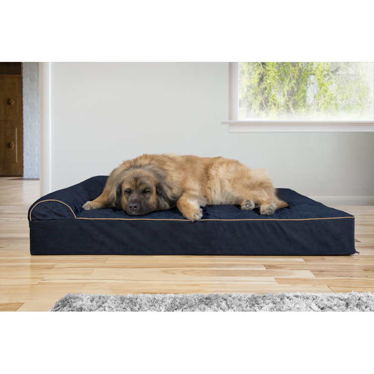 pet chaise lounge