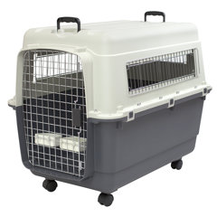 large rolling pet carrier