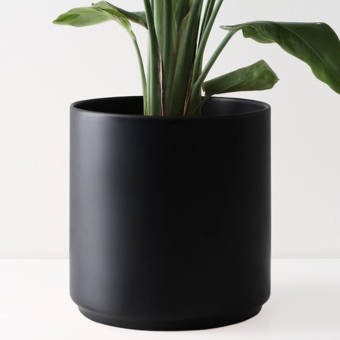 George Oliver Brathwaite Ceramic Pot Planter Reviews Wayfair