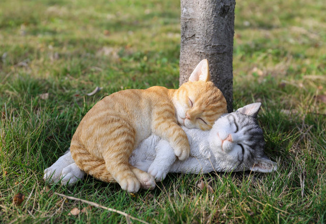 Garden Statues for Animal Lovers