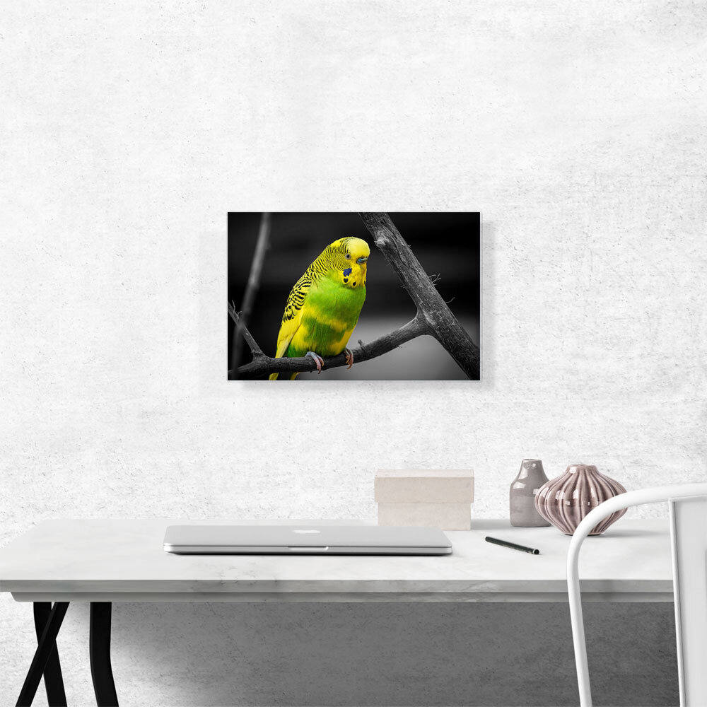 ARTCANVAS Yellow And Green Parakeet Parrot On Branch - Wrapped Canvas ...