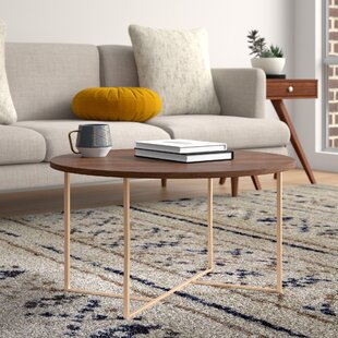Darion Coffee Table By Langley Street™
