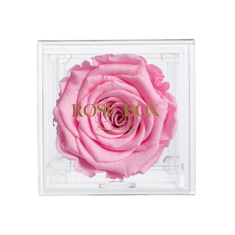 Rose Box Nyc Single Rose Floral Arrangement In Jewelry Box Wayfair