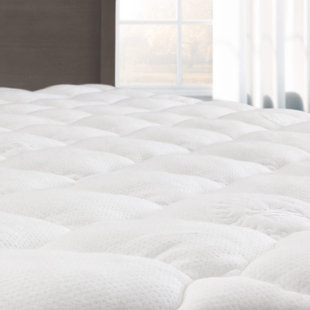 Go to store & view more images Alwyn Home Down Alternative Mattress Pad