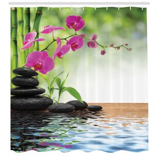 Spa Shower Curtain Wayfair