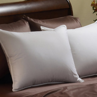 Go to store & view more images Pacific Coast Feather Down Pillow