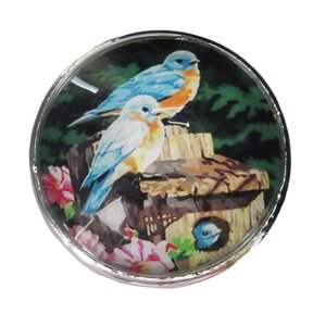 Bird Glass Mushroom Knob