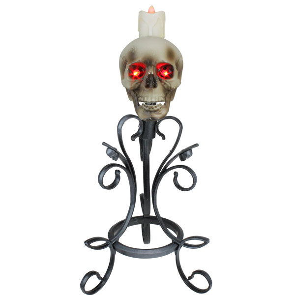 Skull Candle Holder Wayfair Skull Candle Holder Wayfair