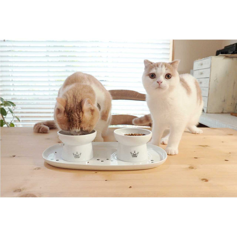 Necoichi 3 Piece Raised Cat Bowl Set & Reviews Wayfair.ca