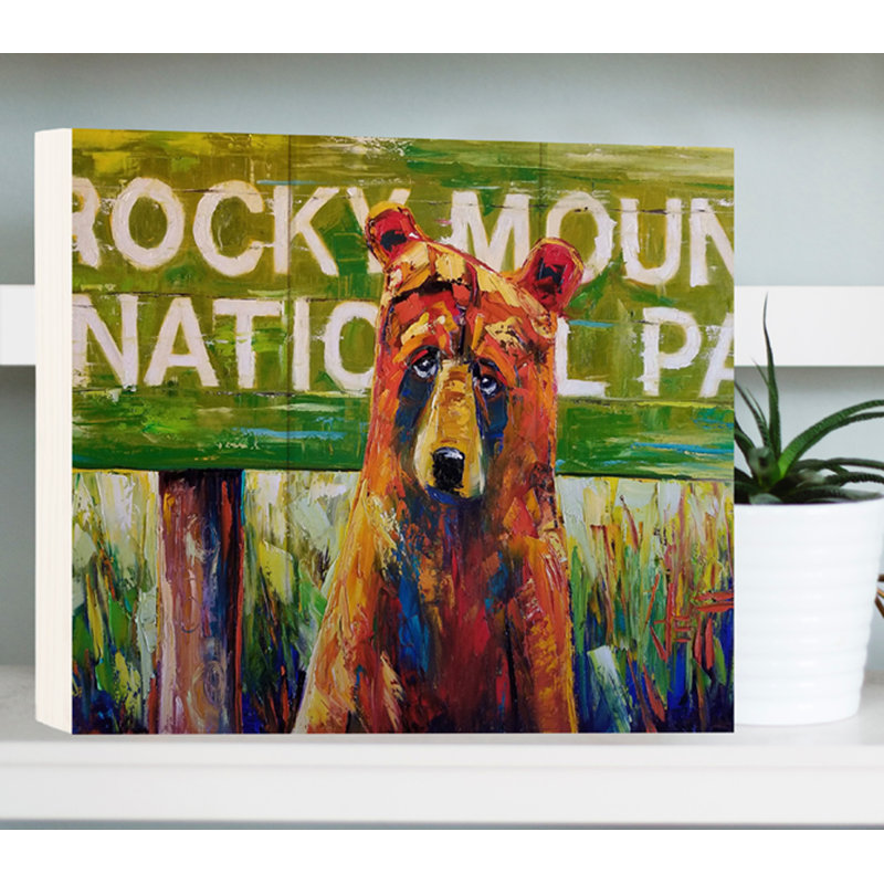 Millwood Pines Rocky Mountain National Park Bear Box Board Wall Decor Wayfair