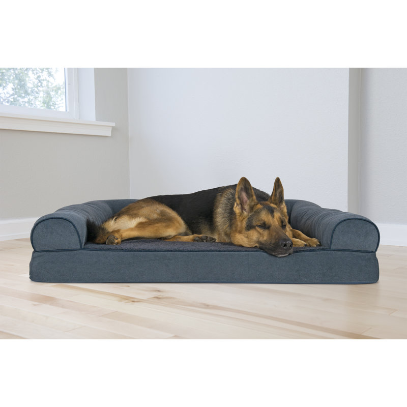 oval cushy dog sofa