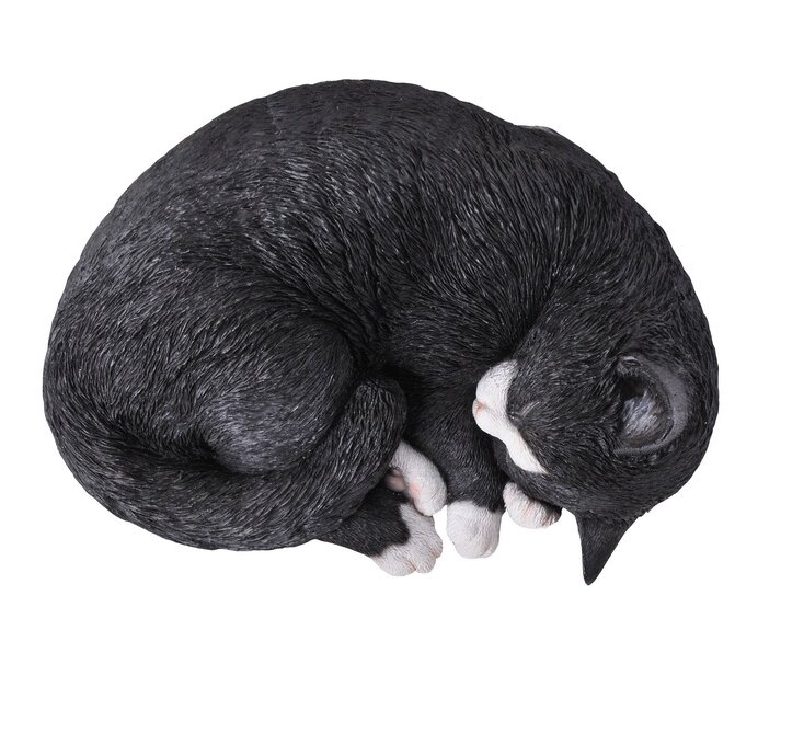 Brand New & Sealed Resting Black & White Cat 