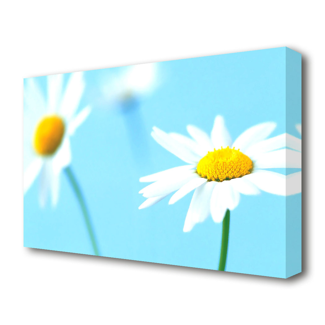 Deal Detail
