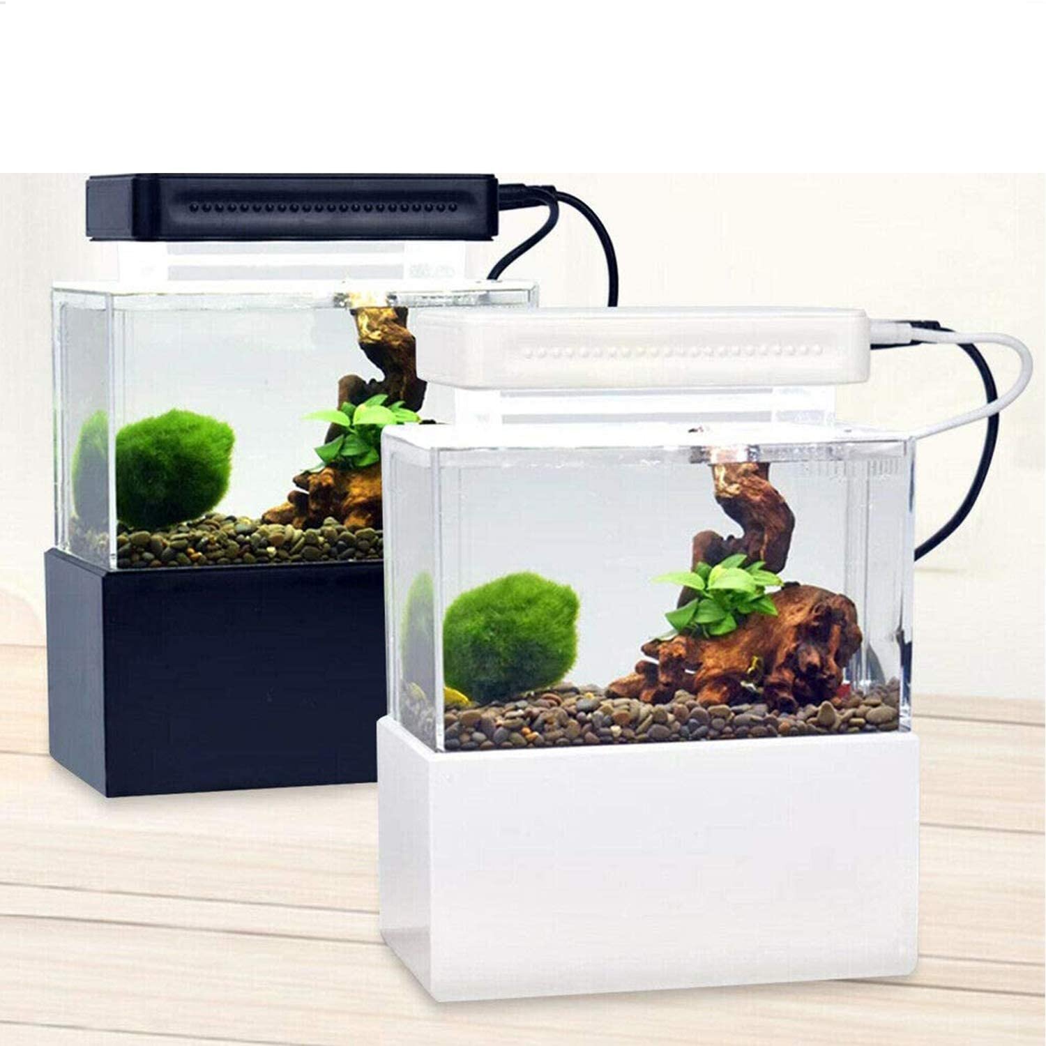 Tucker Murphy Pet 2 Gallon Nano Fish Tank Kit With Led Light Wayfair