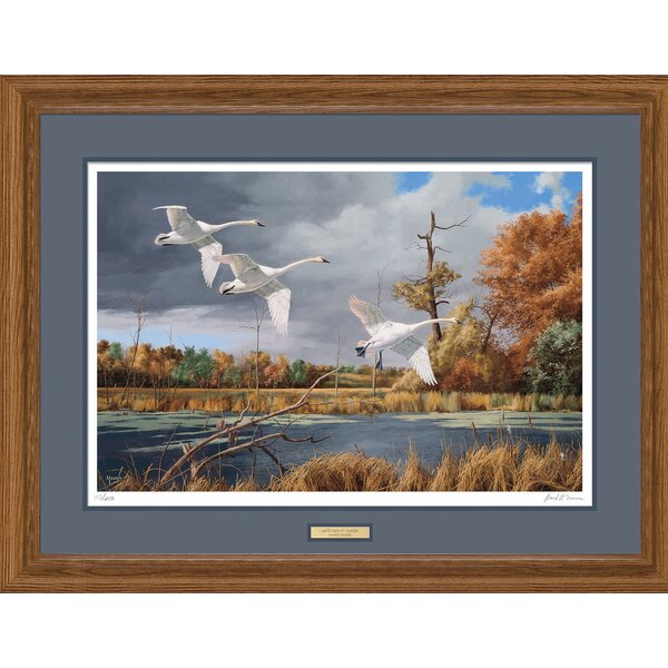 WildWings David Maass - Print on Canvas | Wayfair