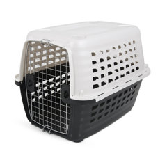 dog sky kennel