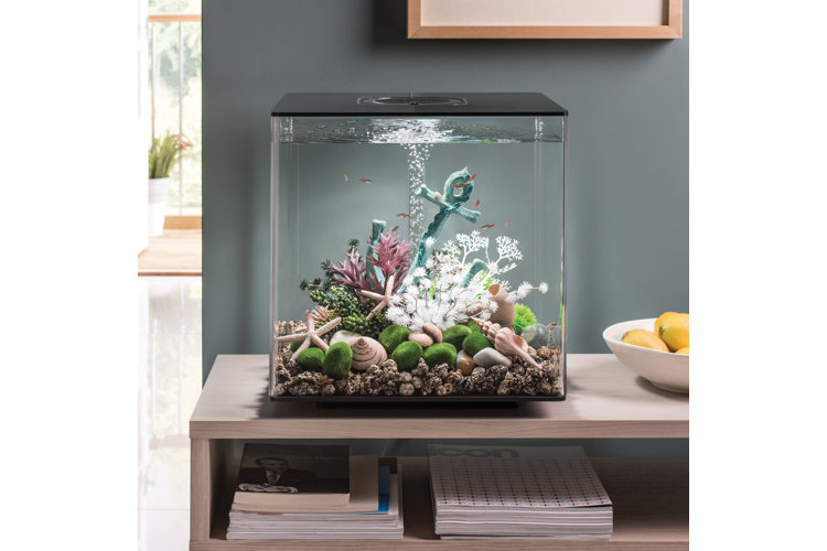 wetenschappelijk Heb geleerd duidelijk Fish Tank Sizes & Types: How to Choose the Right Aquarium | Wayfair