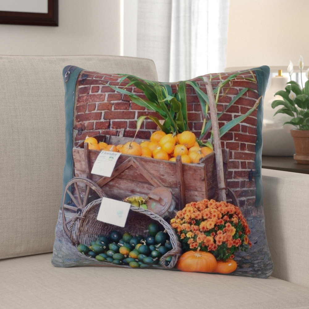 The Holiday Aisle Weinberg Pumpkin Indoor Outdoor Throw Pillow Wayfair
