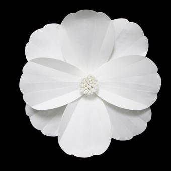 Téléchargement gratuit Images The Holiday Aisle Rose Gardenia Paper Flower Wall Decor Reviews actualisé par