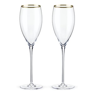 Belmontu2122 Rimmed Crystal White Wine Glass (Set of 2)