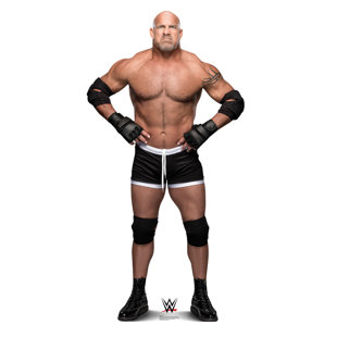 Wwe Wrestling Comforter Wayfair