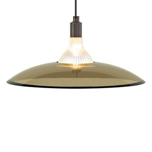 Diz 1-Light Inverted Pendant