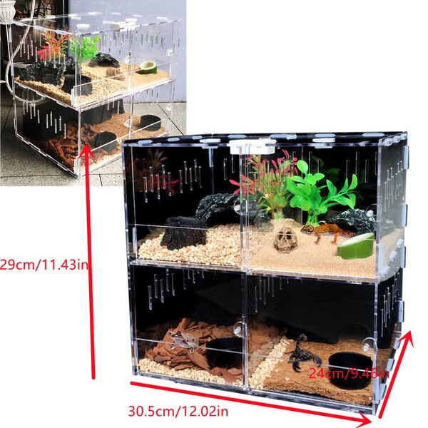 Dalelee Reptile Terrarium Cage 4 Grids Reptile Cage Enclosure Box Tarantula Insect Scorpion Clear Display Case Wayfair