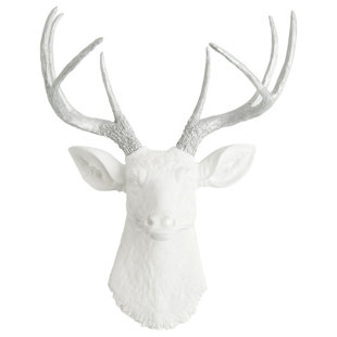 White Deer Head Wall Decor Wayfair Search Results For White Deer Head Wall Decor