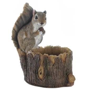 Zingz Thingz Scurrying Squirrel Decorative Bird Feeder Reviews