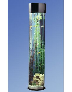 5800 Aquarium Design Colonne HD Terbaru