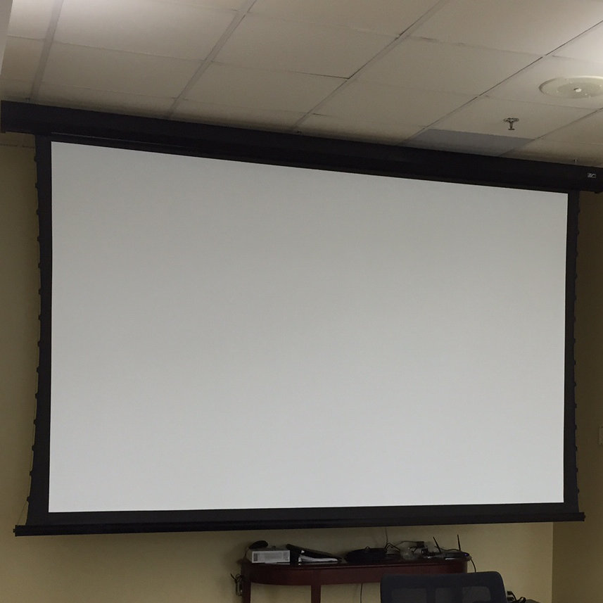 Elite Screens Cinetension2 White Electric Projection Screen Wayfair
