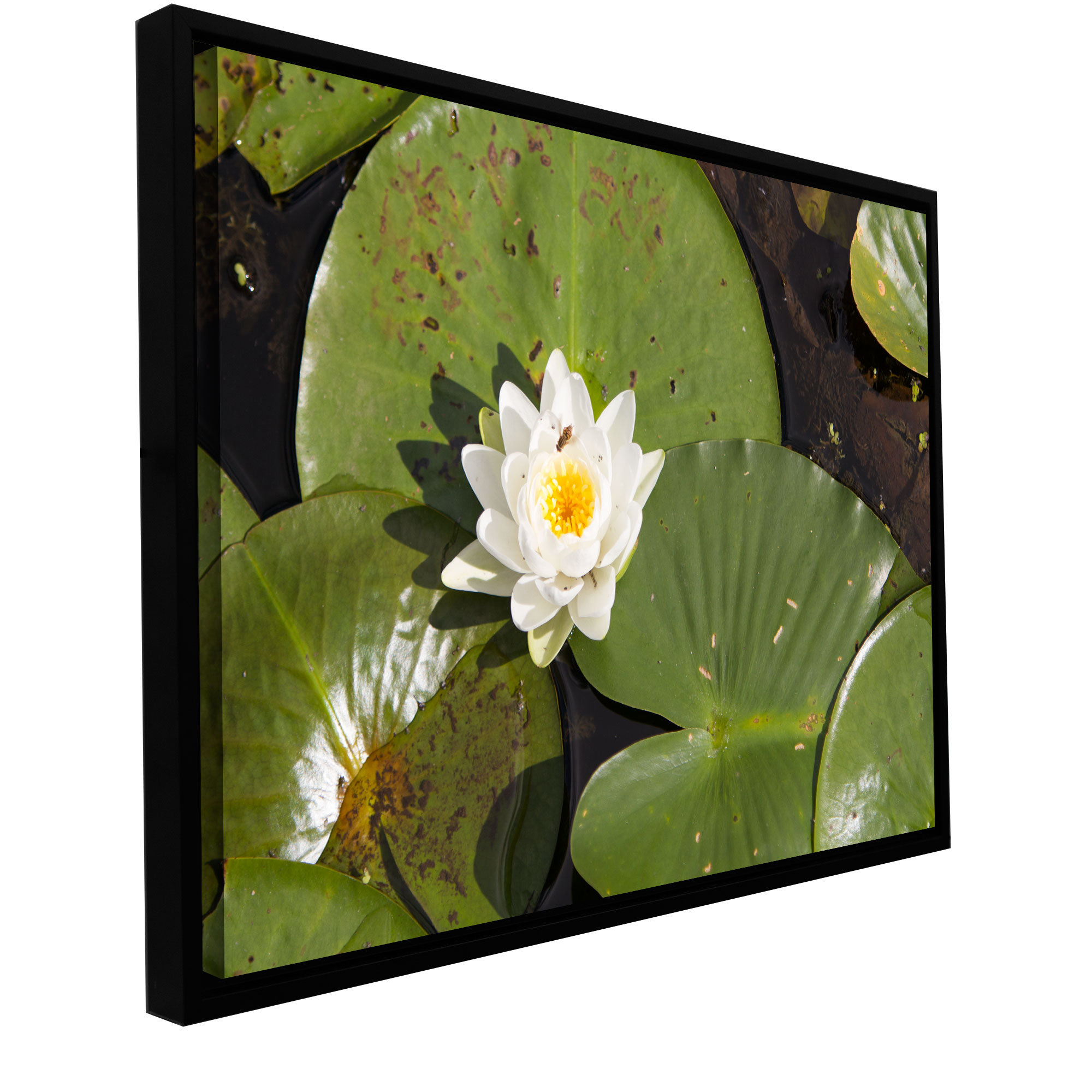 ArtWall 2-Piece Cody Yorks Cleveland 17 Floater Framed Canvas Set 32 by 48-Inch