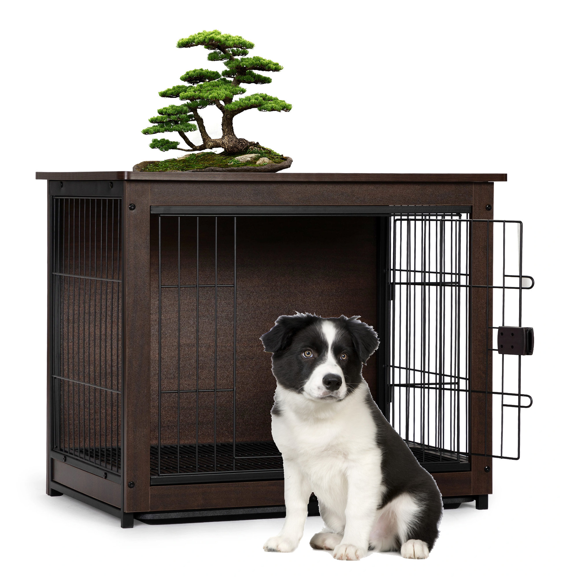 When Should I Get Rid Of My Dogs Crate