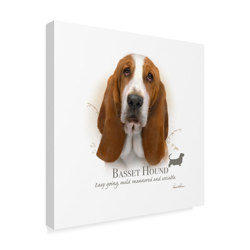 Trademark Art Basset Hound Wrapped Canvas Graphic Art Print