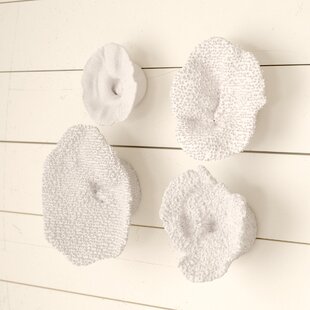 White Coral Decor Wayfair