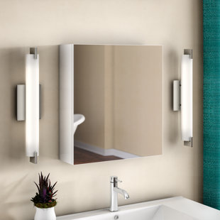 Knott 19.63" x 21.63" Surface Mount Frameless Medicine Cabinet