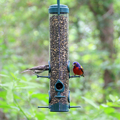 Woodstream Squirrel Dilemma E Z Bird Feeder Yard Garden Outdoor