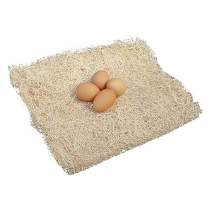 Buy Chicken Nesting Pad!