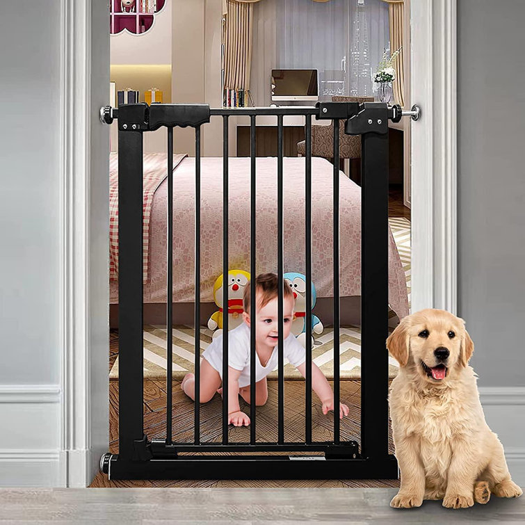 large pet gate