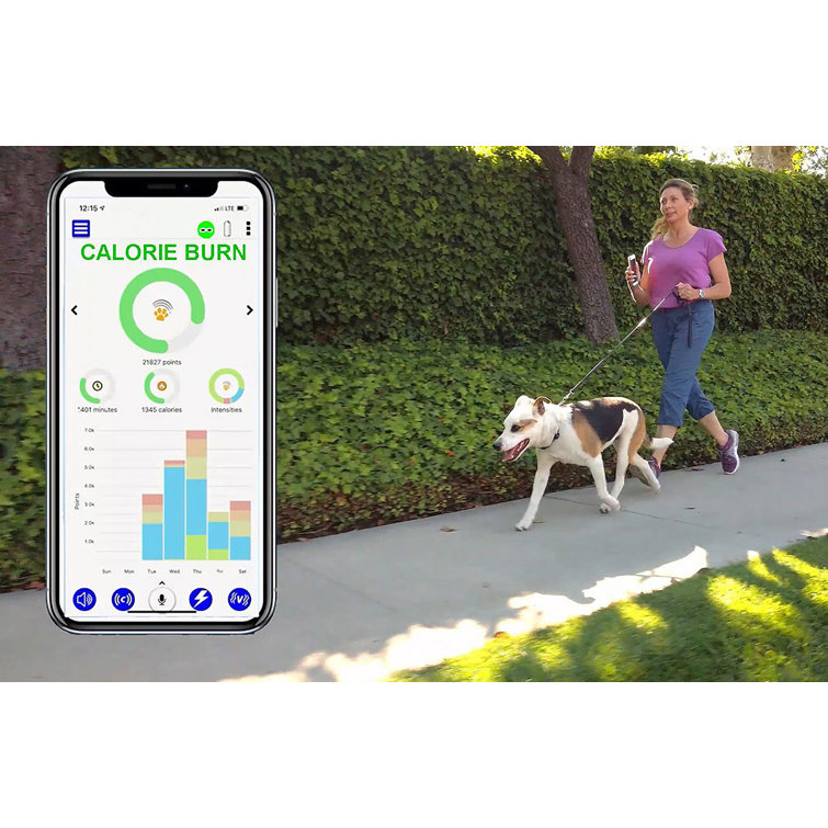 smartphone shock collar