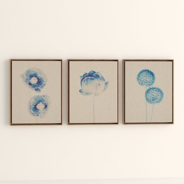 Framed Botanical Prints Joss Main