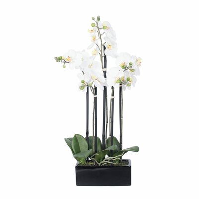 Artificial & Fake Orchids You'll Love in 2020 | Wayfair