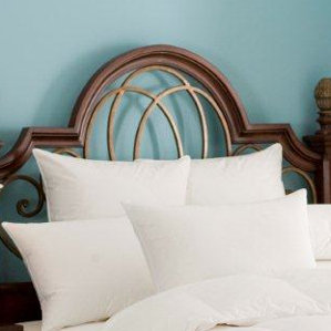 Nirvana 100% Down Pillow by Downright